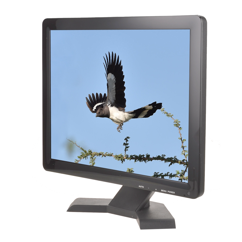 17 inch desktop PC monitor
