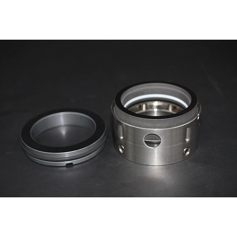 AS-R8-1 multiple spring mechanical seal