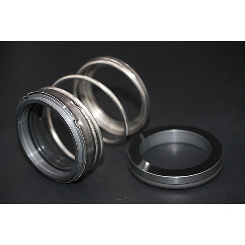 AS-E24 elastomer bellow mechanical seal