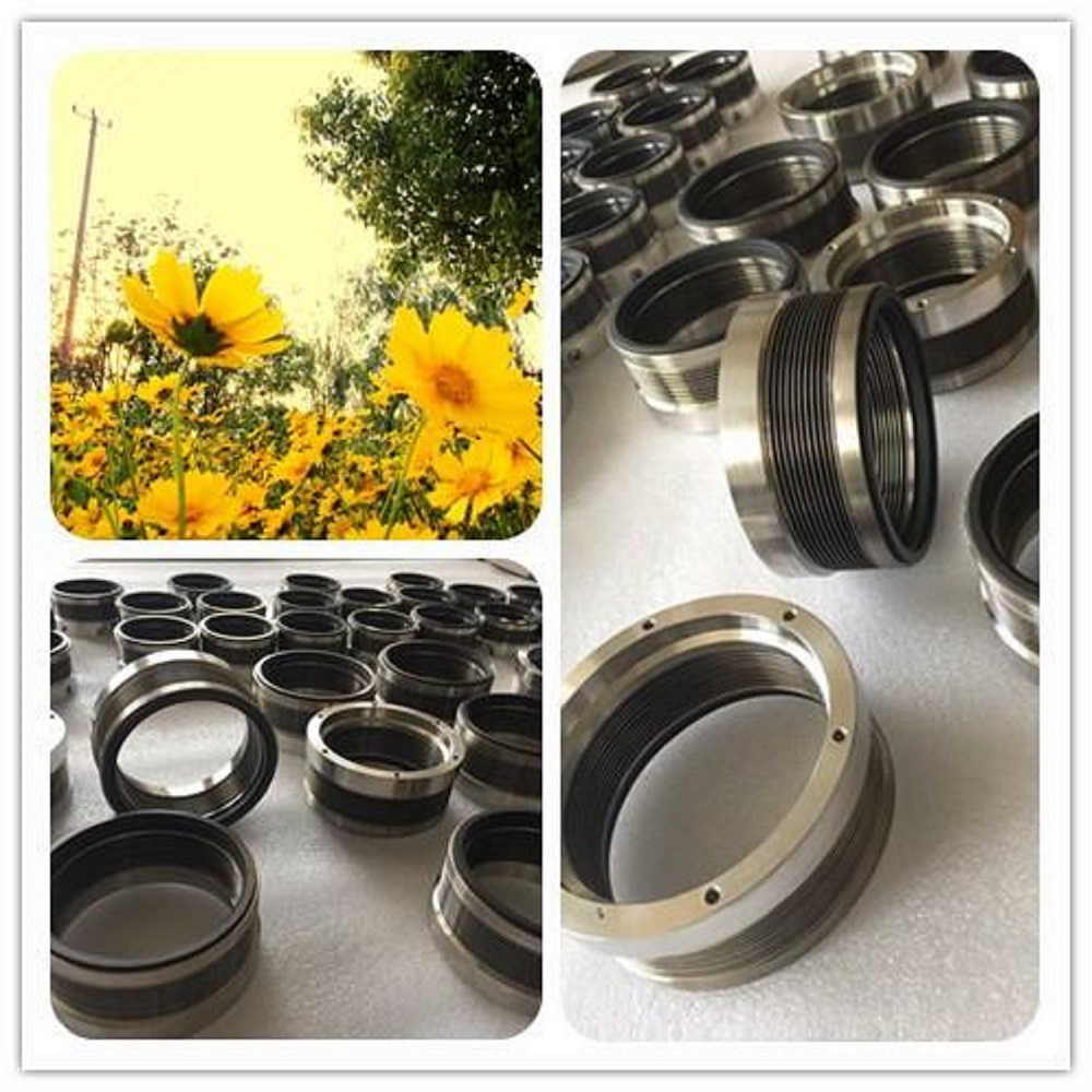 mechanical seal for water pump，mechanical seal pump，pump seals，water pump mechanical seal