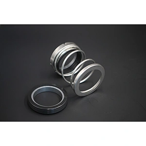 AS-E20T elastomer bellow mechanical seal