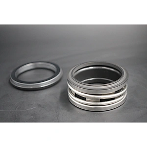AS-E210  elastomer bellow mechanical seal