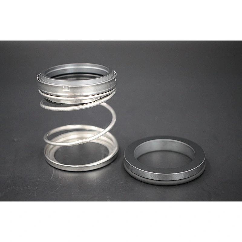 AS-E24 elastomer bellow mechanical seal