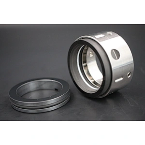 AS-R8-1 multiple spring mechanical seal