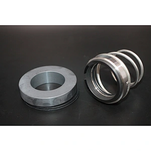 AS-V16 pump mechanical seal