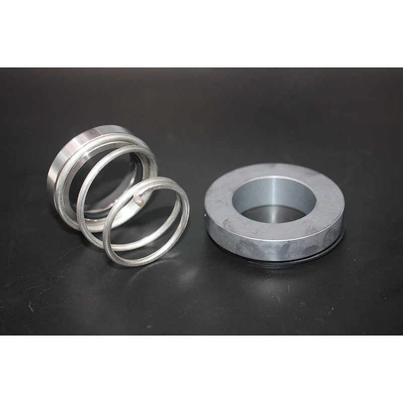 AS-V16 pump mechanical seal