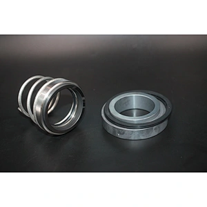 AS-V16 pump mechanical seal