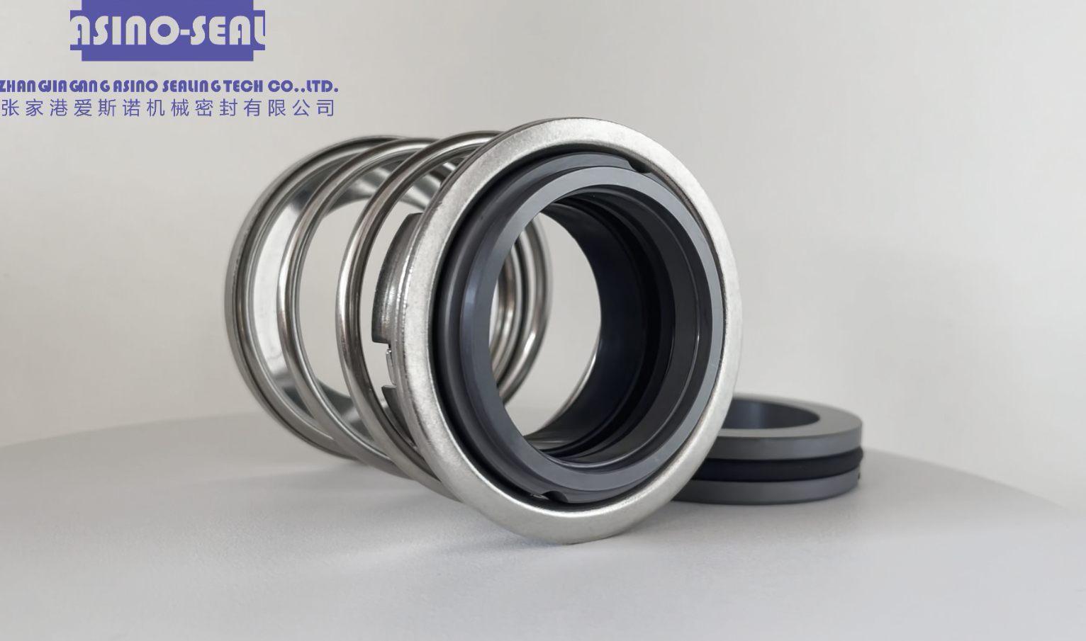 elastomer   bellow  mechanical   seal