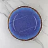 blue melamine plates