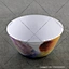 Melamine Chip and Dip
