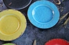 rustic melamine plates