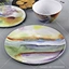 Melamine Chip and Dip