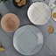 melamine picnic