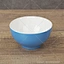 Plastic Sushi Rice Bowl