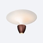 Metal Mesh Pendant Light