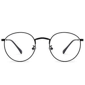 Metallic Optical Glasses Silicon Nose Pads Round Dark Frame Eyeglasses