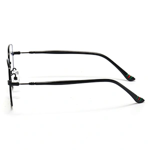 Hexagon Metal Optical Glasses Retro With Long CP Temple Tips Polarized Lenses