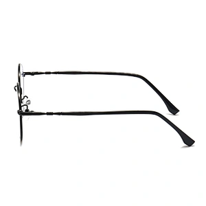 Metal Optical Glasses Cute CP Temple Tips Round Frame Eyeglasses