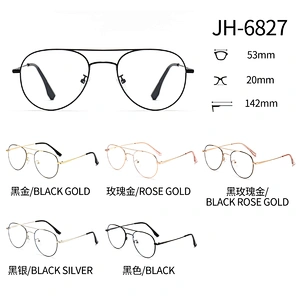 Two Bridge Metal Optical Glasses Vintage Style Round Frame Eyeglasses