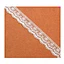 3.5 Cotton Tulle White Lace Chemical Fabric Embroidery Lace Trim