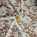 J8445 Women Mesh 150cm Width Embroidery Lace Fabric China Technics custom Color Feature lace Material