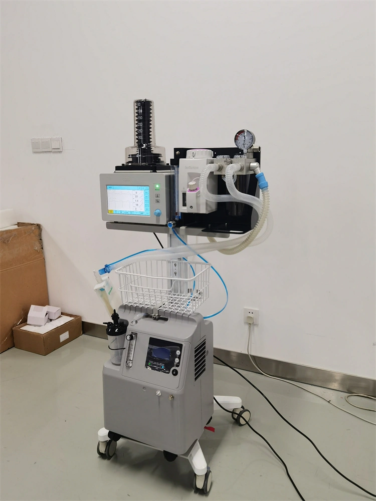 Máquina de anestesia veterinaria