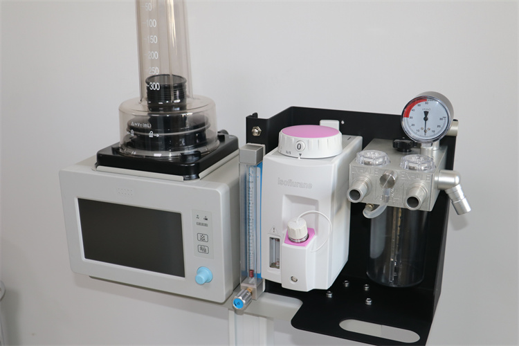 anesthesia machine circuit-portable anesthesia machine