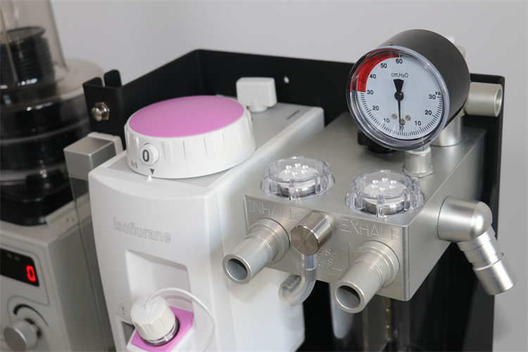 Veterinary Anesthesia Machine for animals