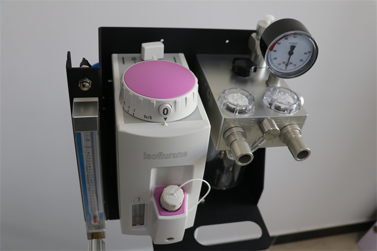 vet anesthesia machine-MRI suitable
