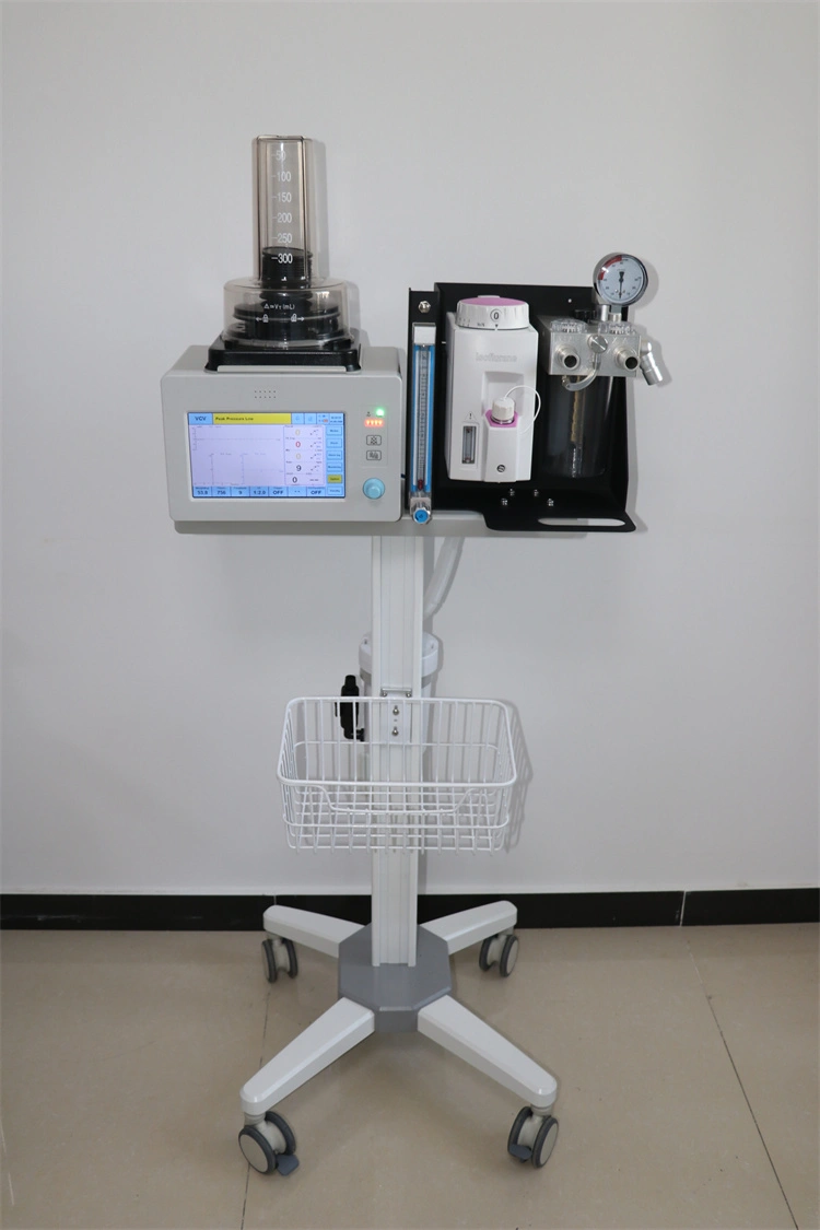 portable anesthesia machine-Dolphinmed vet anesthesia machine
