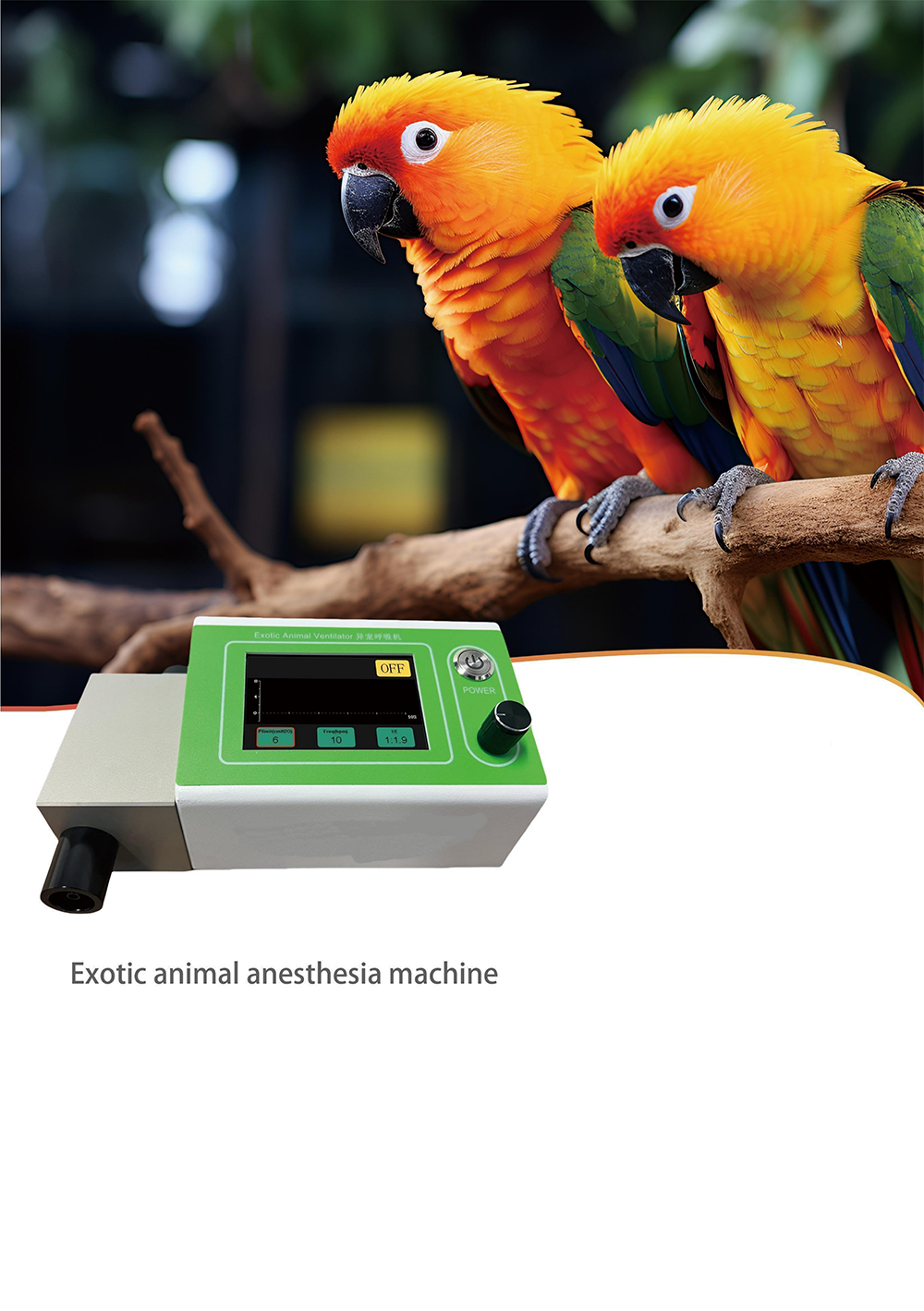 Exotic animal anesthesia machine DL10E
