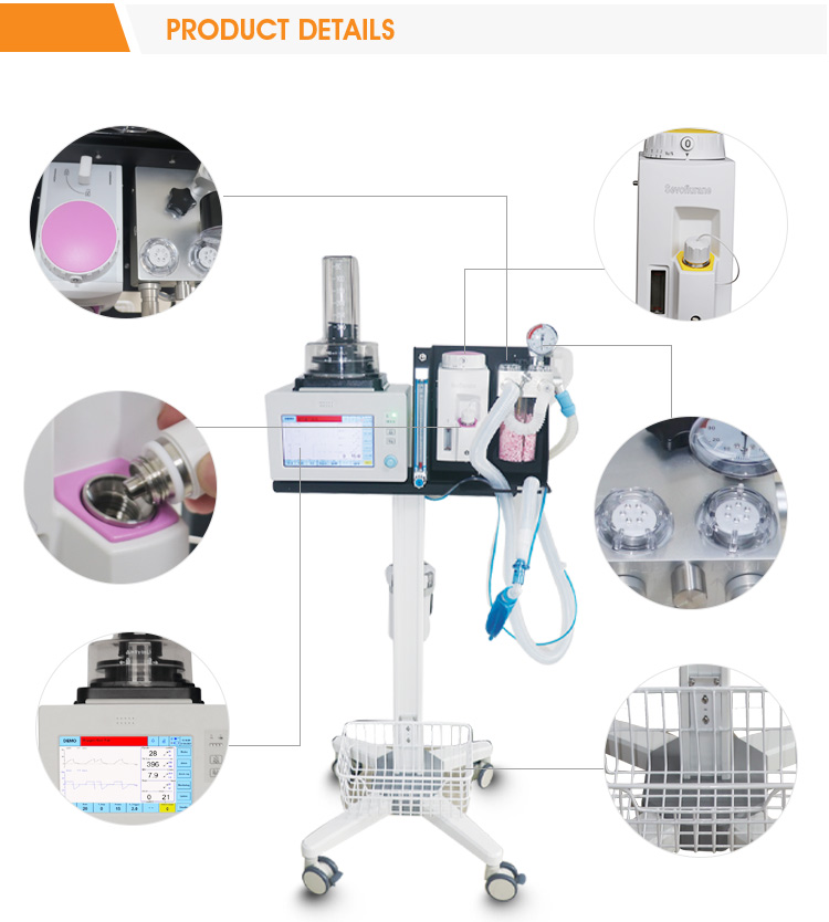 portable anesthesia machine-Dolphinmed DA1200V2