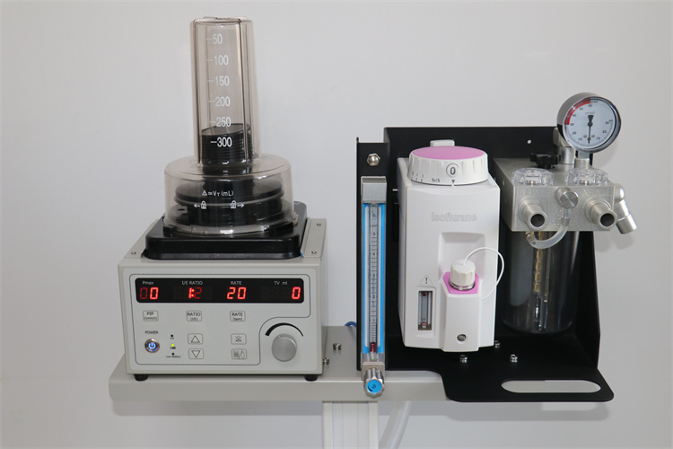 Veterinary Anesthesia Machine for animals