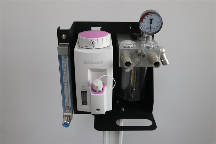 vet anesthesia machine-Dolphinmed DA1200V1