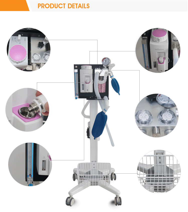 vet anesthesia machine