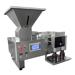 Tablet type counting machine