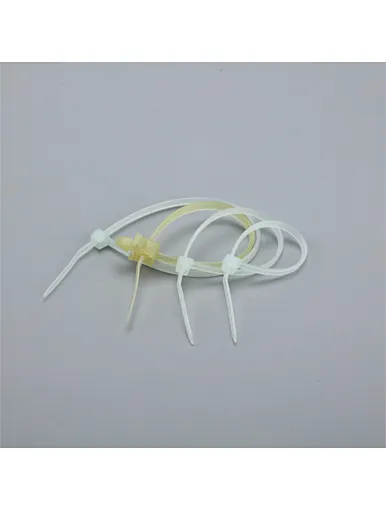 plastic tag with seal lock