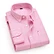 triple collar shirt