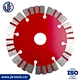 Segmented Saw Blade with Protection Teeth