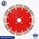 Segmented Saw Blade with Protection Teeth
