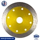 Continuous Saw Blade