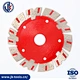 Segmented Saw Blade with Protection Teeth