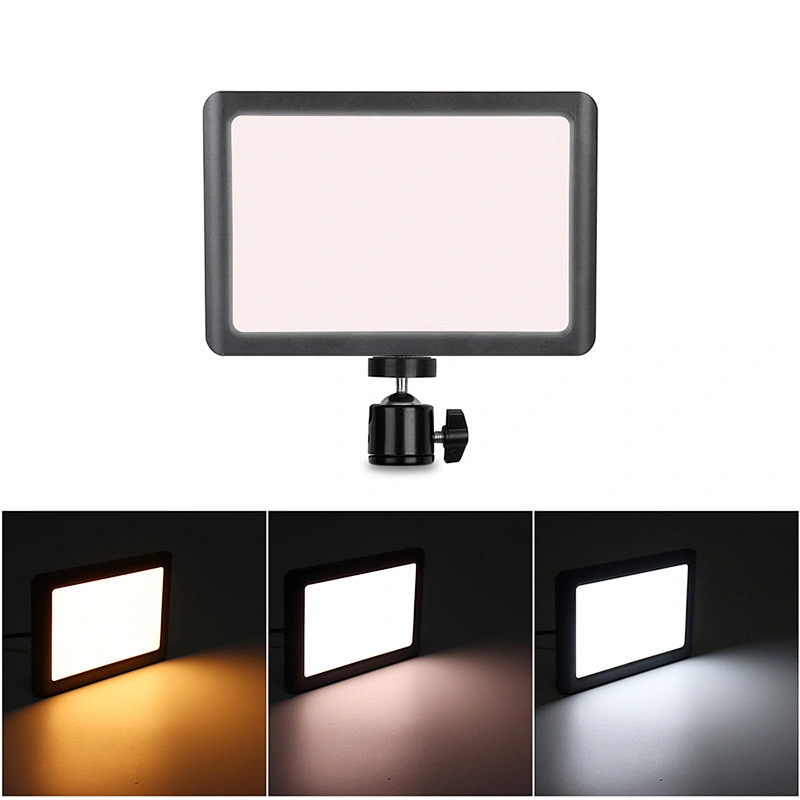 W86C Conference Panel Light