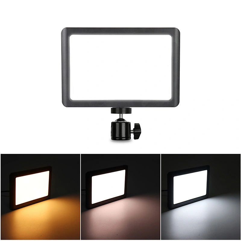 W86C Conference Panel Light