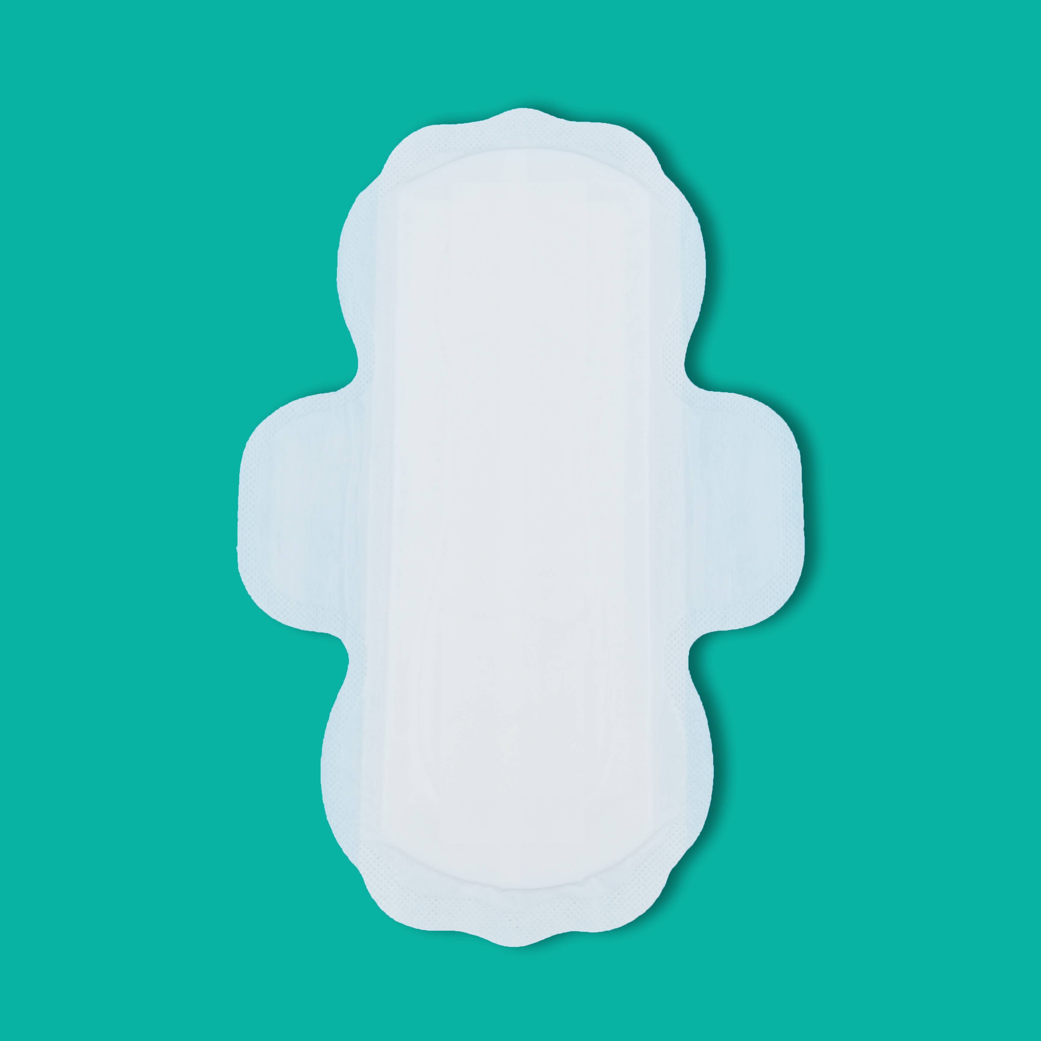 Eco Sanitary Pad