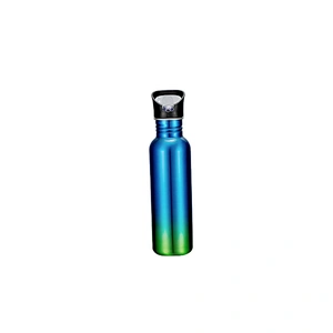 99 Two-tone color stainless water bottle 737