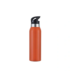 Stainless steel insulated sporting bottle with straw lid