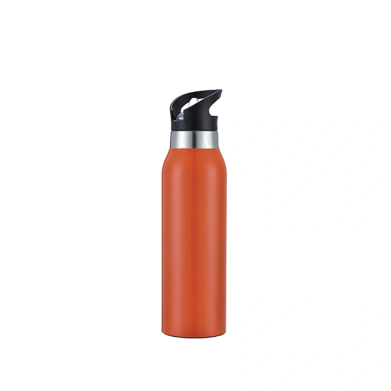 Stainless steel insulated sporting bottle with straw lid