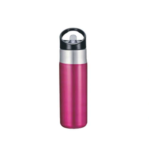 Vacuum insulated water bottle with straw Lid
