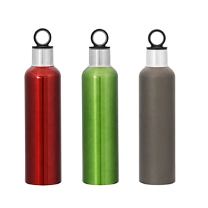stainless steel vacuum insulated wine bottle